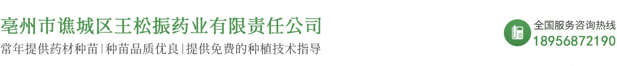 亳州市谯城区王松振药业有限责任公司